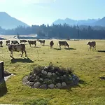 Lejlighed Gaestehaus Gruenbacher