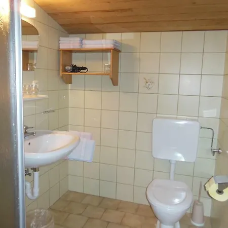 Gaestehaus Gruenbacher * 코센