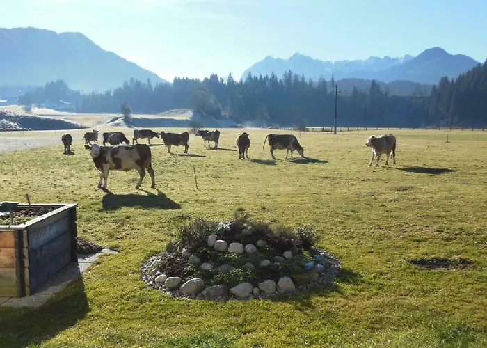 Appartement Gaestehaus Gruenbacher