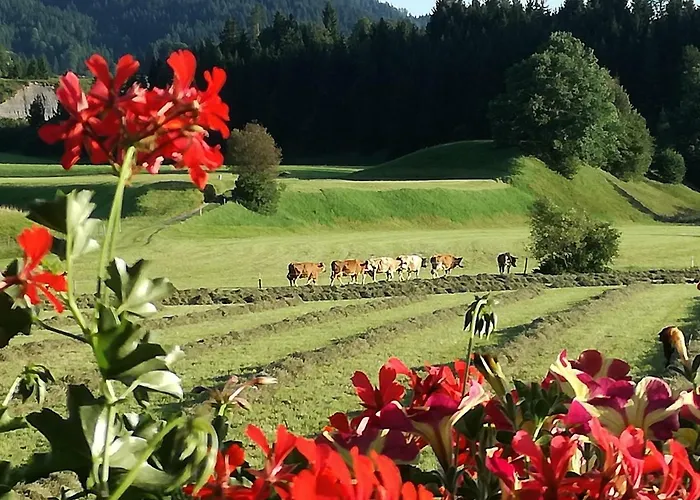 Gaestehaus Gruenbacher